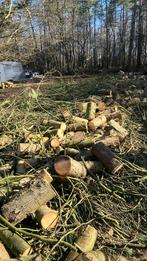 Brandhout den, 6 m³ of meer, Ophalen, Overige houtsoorten, Stammen