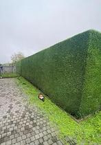 Tuinwerken Onderhout - Weest-Vlaanderen & Oost-Vlaanderen, Ophalen, Zo goed als nieuw