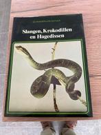 slangen krokodillen en hagedissen boek lekturama, Enlèvement ou Envoi, Neuf