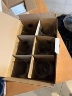 6 cornet glazen - nieuw in doos, Ophalen, Zo goed als nieuw