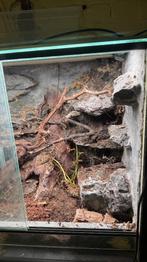 Terrarium et décor, Enlèvement, Utilisé, Terrarium ou Paludarium