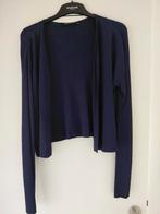 Gilet, Kleding | Dames, Truien en Vesten, Blauw, Ophalen of Verzenden, Zo goed als nieuw, ANDERE