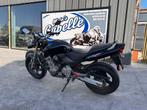 Honda	CB600F, 600 cm³, Entreprise, Plus de 35 kW