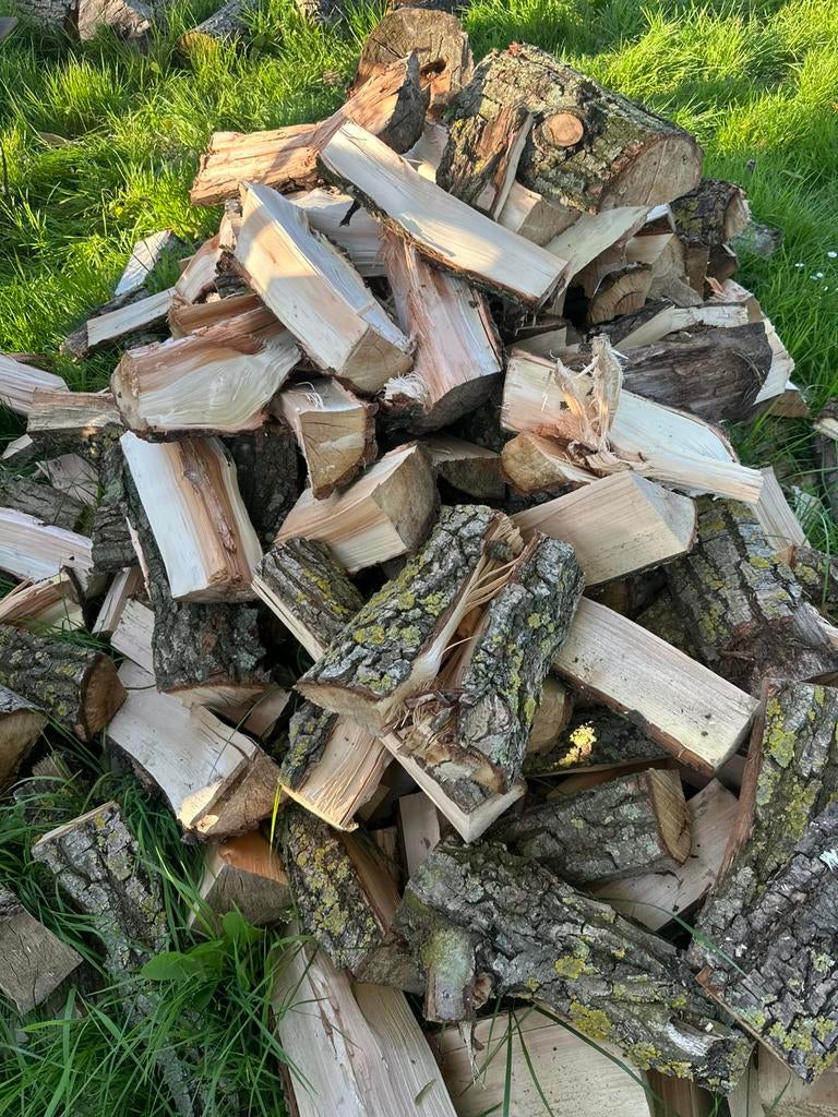 Brandhout Wilg, 6 m³ of meer, Ophalen, Overige houtsoorten, Blokken