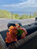 bandeau de cérémonie printemps/été, Vêtements | Femmes, Chapeaux & Casquettes, Neuf, Sans marque, Enlèvement, Chapeau