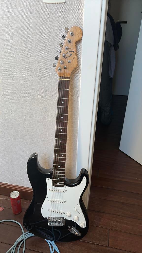 Elektrische gitaar, Ophalen, Gebruikt