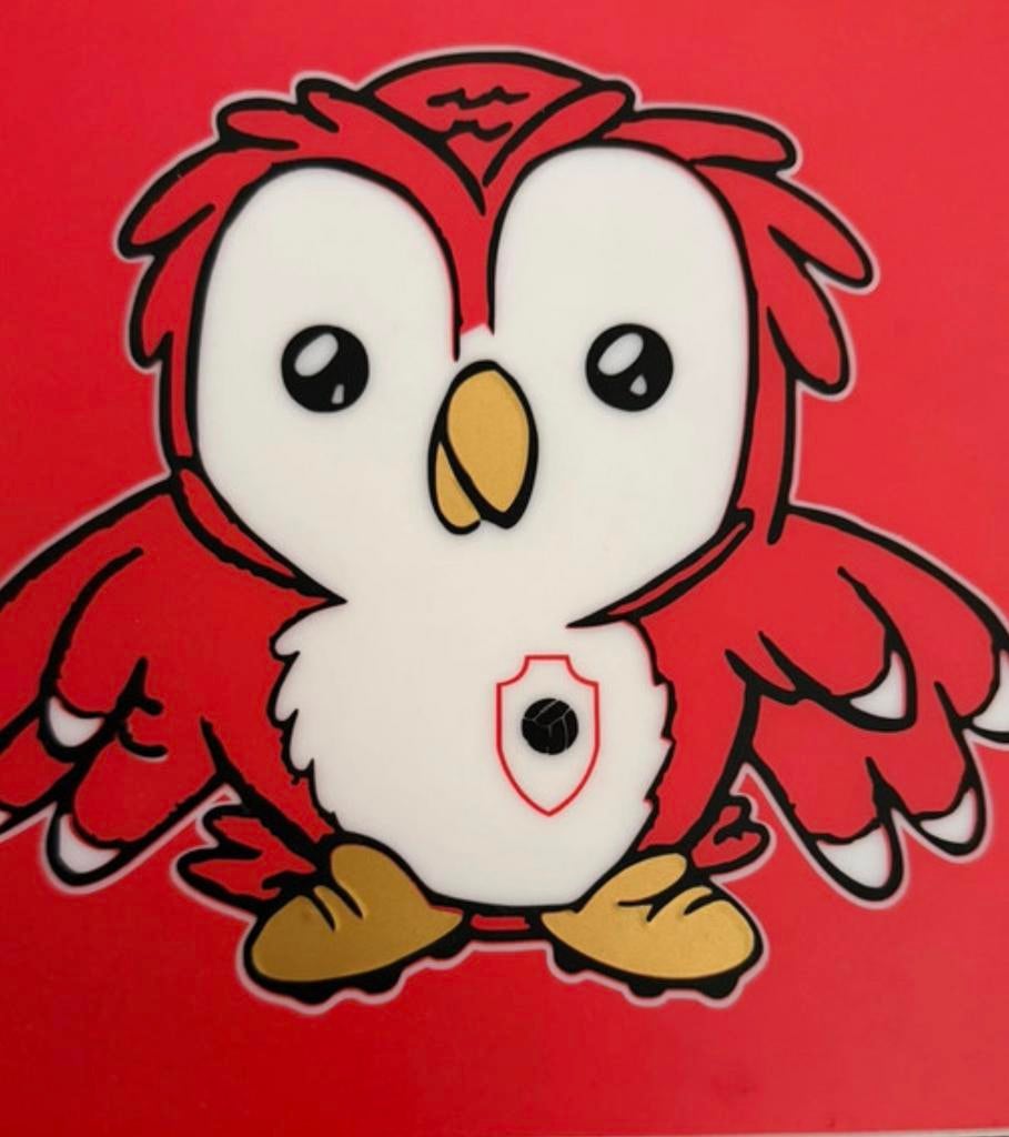 Lichtbak van de voetbal club Royal Antwerp fc te koop, Ophalen of Verzenden, Nieuw, Overige typen