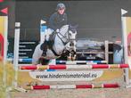 Lieve allround A-pony, Dieren en Toebehoren, Merrie, Springpony, A pony (tot 1.17m), 11 jaar of ouder