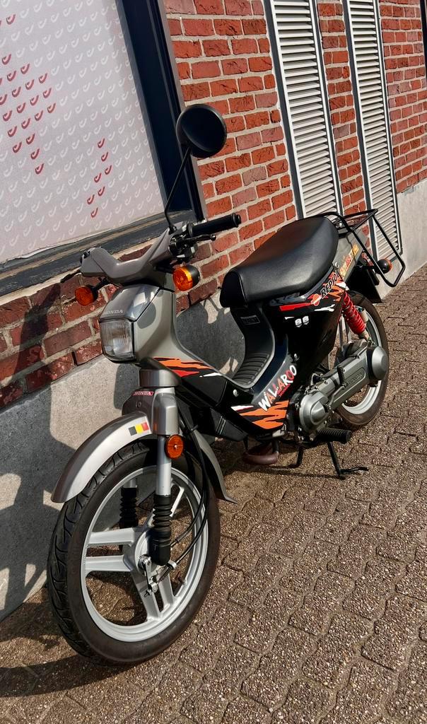 HONDA WALLAROO DELUXE 50cc met papieren – TOPSTAAT!, Fietsen en Brommers, Brommers | Honda, Zo goed als nieuw, Ophalen