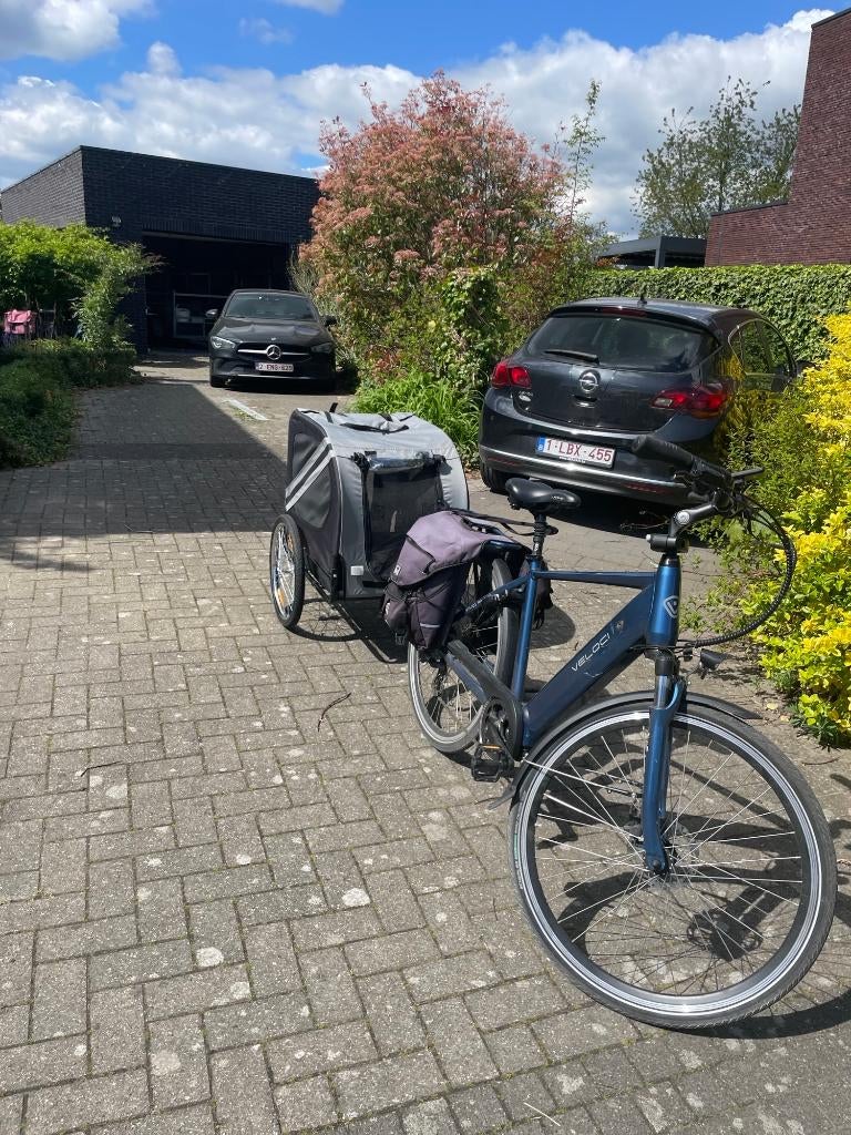 hondenfietskar, Remorque pour chien, Pliable, Comme neuf, Enlèvement