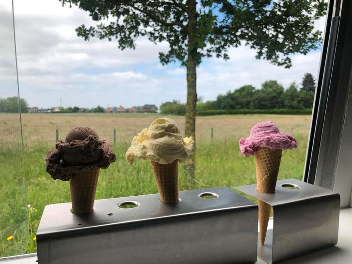 Ijsverkopers, Vacatures, Profielen | Scholier zoekt job