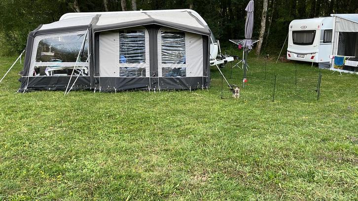 Te koop voortent, Caravans en Kamperen, Voortenten en Luifels, Zo goed als nieuw, Dometic, Ophalen