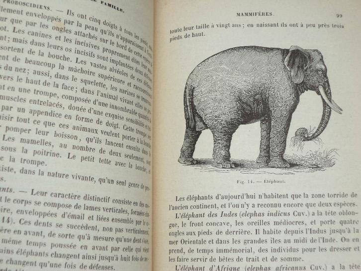 J. Hannon Traité élémentaire de Zoölogie natuurboek dieren, Boeken, Wetenschap, Ophalen of Verzenden