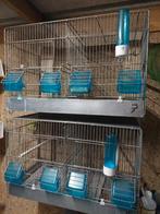 Kweekkooien, Ophalen