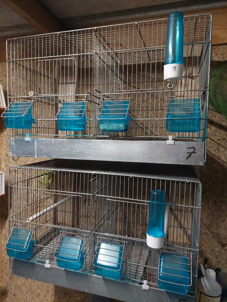 Cages d'élevage, Animaux & Accessoires, Oiseaux | Cages & Volières, Enlèvement