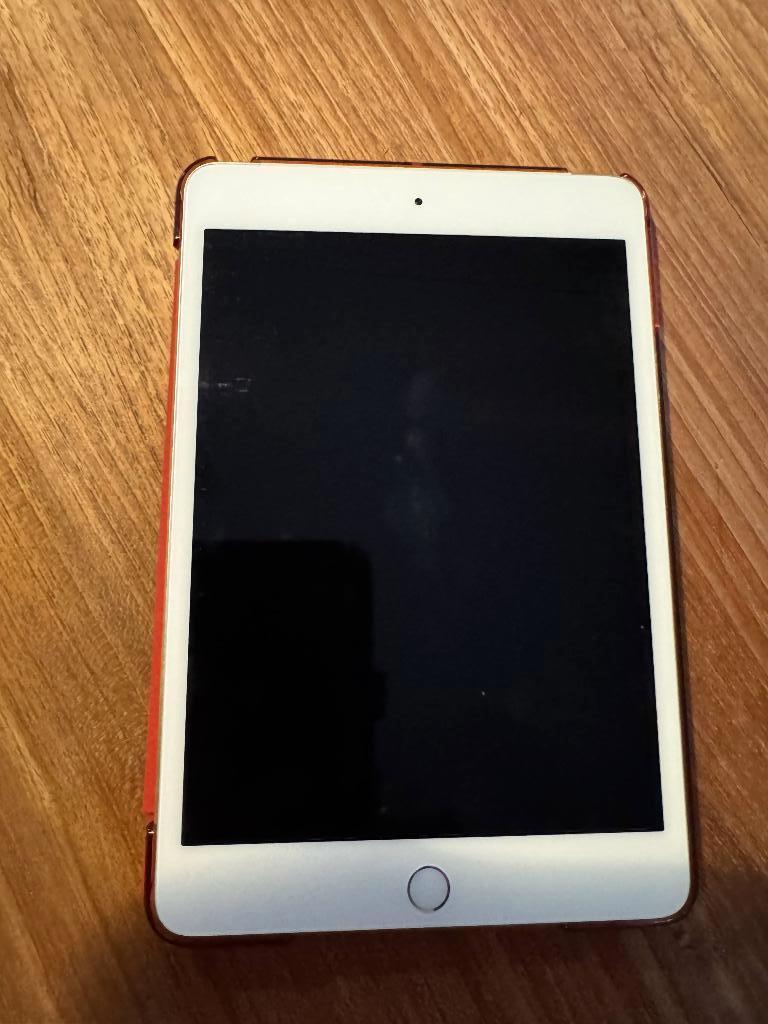 iPad mini 128 Go, Informatique & Logiciels, Apple iPad Tablettes, Gris, Enlèvement, Utilisé, 128 GB