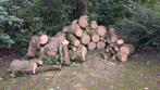Bois de chauffage 60 € pour 2 stères (chêne et érable), Enlèvement, Chêne
