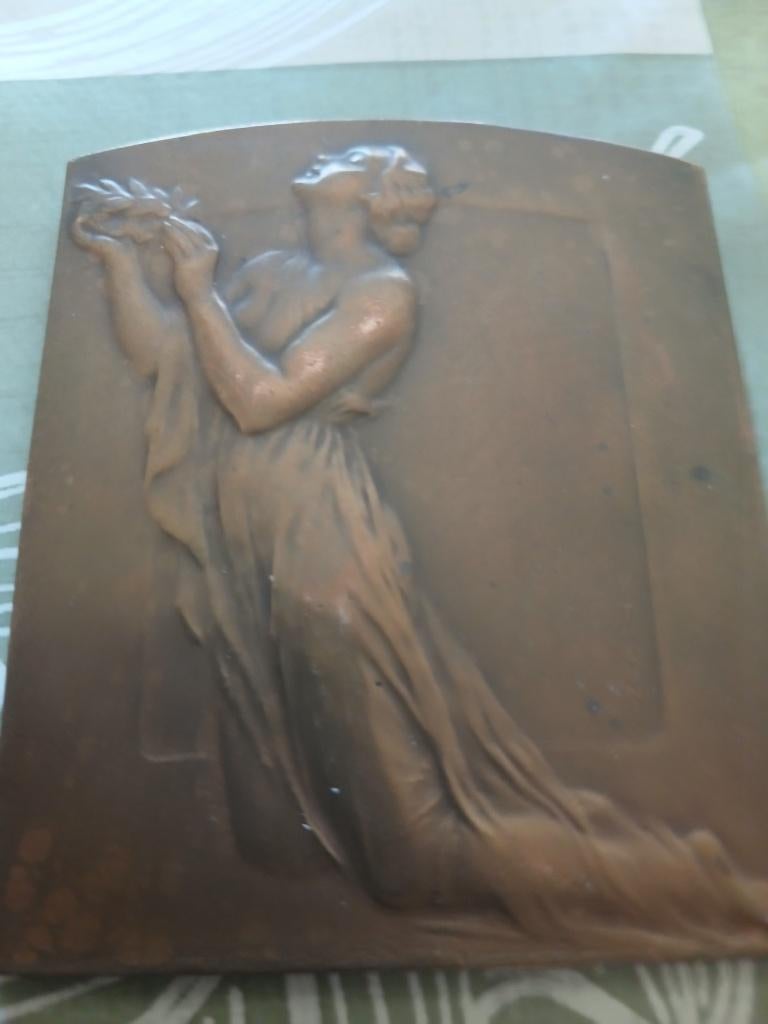 Médaille souvenir, Enlèvement, Bronze