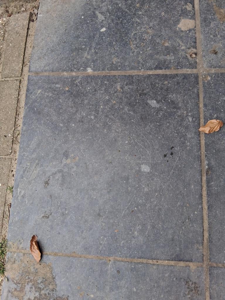 Arduin belgische, Tuin en Terras, Ophalen