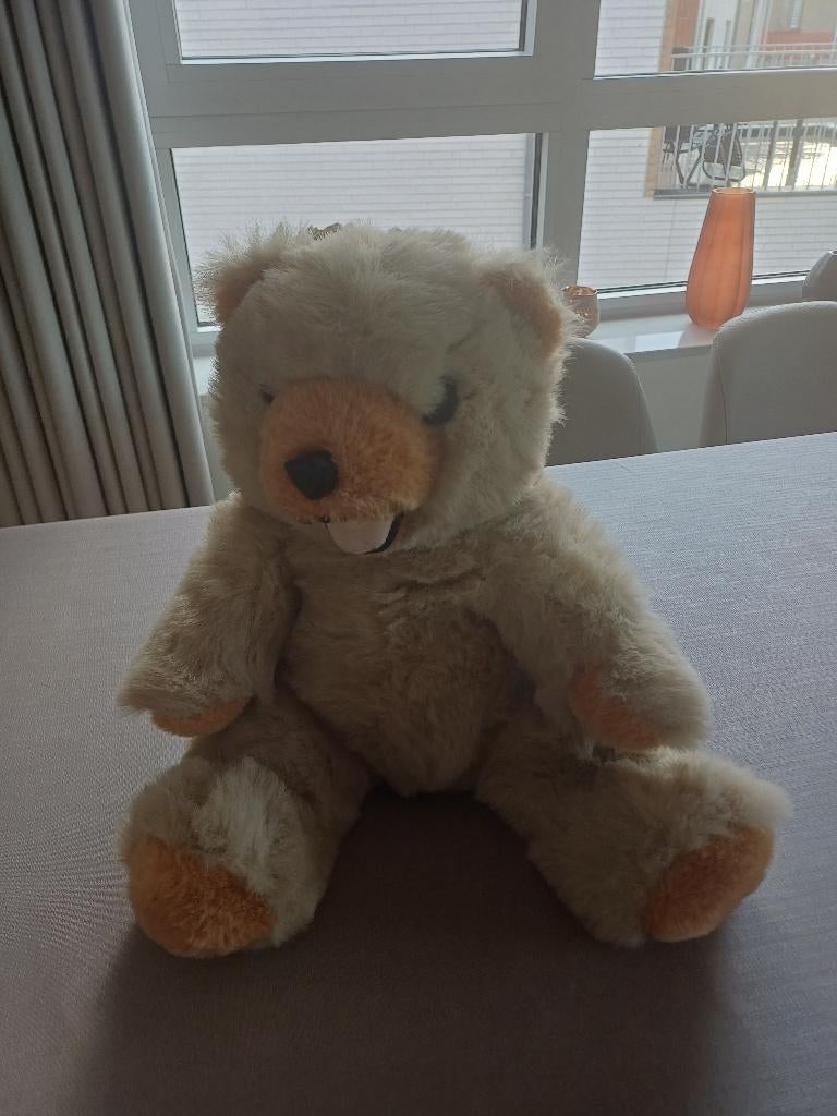 Pluche beer, Ophalen, Gebruikt, Beer, Middelgroot (20 tot 80 cm)
