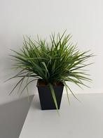 Decoratieve Kunstplant, Huis en Inrichting, Kamerplanten, Ophalen, Overige soorten, In pot, Minder dan 100 cm