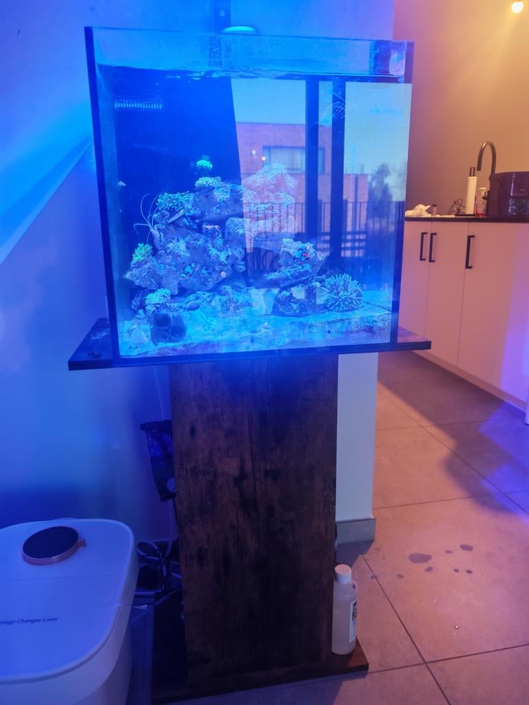Aquarium marin complet à nanoréef, Animaux & Accessoires, Poissons | Aquariums & Accessoires, Pompe, Enlèvement ou Envoi