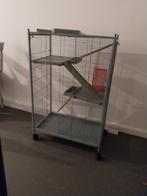 Grote kooi, Ophalen, Kooi, Gebruikt, Eekhoorn