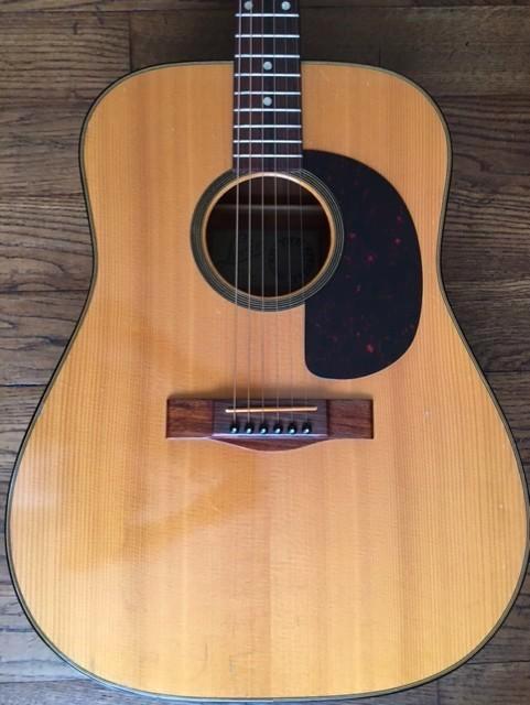 Levin W36, Musique & Instruments, Instruments à corde | Guitares | Acoustiques, Utilisé, Guitare Western ou Guitare Folk
