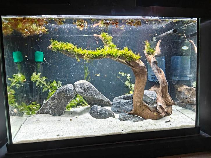 Superfish 70 liter, Dieren en Toebehoren, Vissen | Aquariumvissen