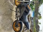 Buell XB12S, Motos, Naked bike, Particulier, 2 cylindres, 1200 cm³