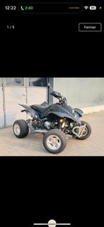 Quad 250 cc avec papiers, Motoren