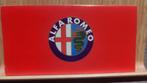 Alfa romeo gamma brochure, Boeken, Auto's | Folders en Tijdschriften, Ophalen of Verzenden, Alfa Romeo