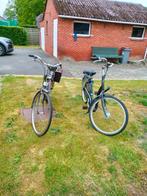 damesfiets met binnenversnelling batavus, Ophalen, Versnellingen, Batavus, 53 tot 56 cm