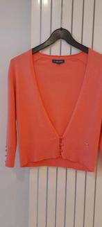 Gilet (bolero), merk Terre Bleue, maat 36, Kleding | Dames, Terre bleue, Oranje, Ophalen of Verzenden, Zo goed als nieuw