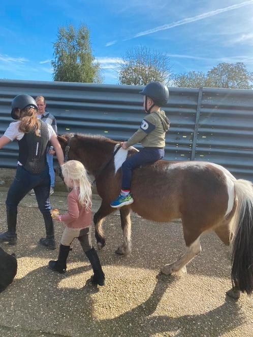 Bonte A-pony merrie, Dieren en Toebehoren, Pony's, Merrie, B, A pony (tot 1.17m), Recreatiepony, 11 jaar of ouder, Gechipt, Ontwormd