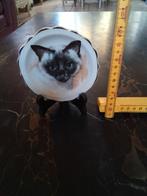 Décoration chats, Collections, Enlèvement