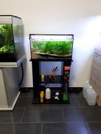 aquarium 60 litres, Dieren en Toebehoren, Ophalen, Zo goed als nieuw, Gevuld zoetwateraquarium