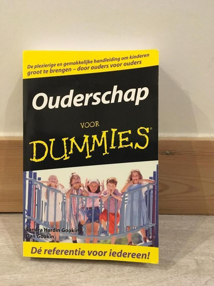 Boek Ouderschap voor dummies, Boeken, Zwangerschap en Opvoeding, Zo goed als nieuw, Ophalen