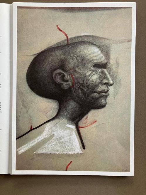 Kunstdrukken Octave Landuyt, Boeken, Kunst en Cultuur | Beeldend, Ophalen of Verzenden