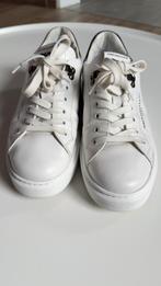 John Galliano basket, Sport en Fitness, Basketbal, Ophalen of Verzenden, Gebruikt, Schoenen