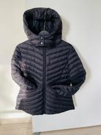 Getailleerd dons jasje zwart, Kleding | Dames, Ophalen of Verzenden, Zo goed als nieuw