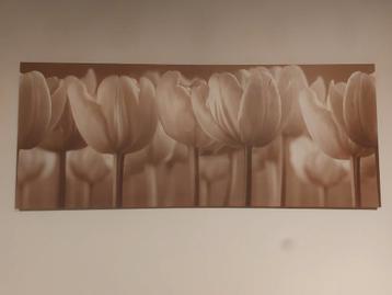 canvas tulpen