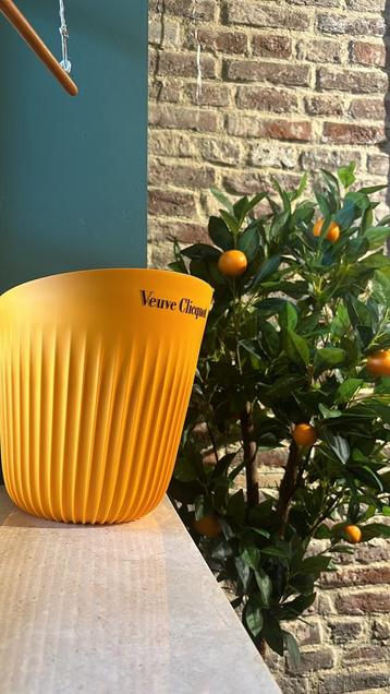 Veuve ijsemmer, Enlèvement