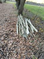 Knotwilgen, Tuin en Terras, Ophalen