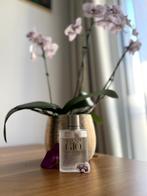 Giorgio Armani Aqua Di GIO, Handtassen en Accessoires, Uiterlijk | Parfum, Ophalen of Verzenden, Gebruikt