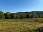 Grond à vendre à La Roche-En-Ardenne, Immo, 1000 à 1500 m²