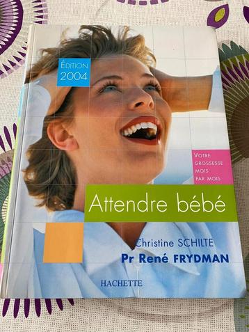 Attendre bébé, édition 2004 Christine SCHILTE beschikbaar voor biedingen
