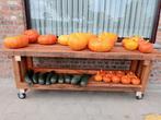 Pompoenen en courgettes, Ophalen