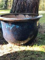 Grands pots olivier de différentes tailles, Enlèvement, Jardin