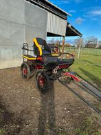 Mooie verzorgde 4-wiel koets, Dieren en Toebehoren, Zo goed als nieuw